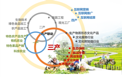 九棵树田园综合体 食品互联网销售的新生态探索